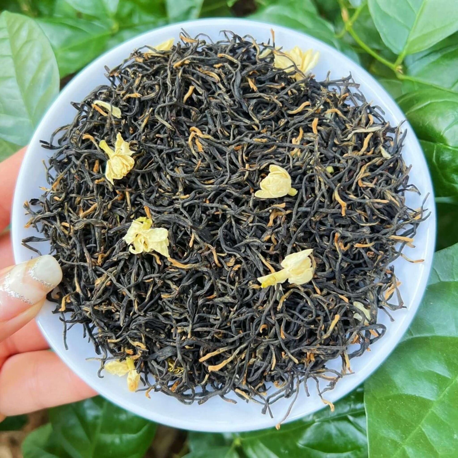 Jasmine Black Tea